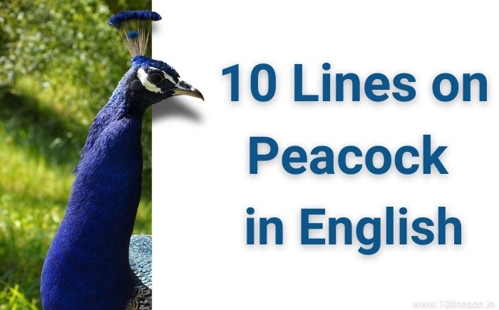 10-lines-on-peacock-in-english-10lineson